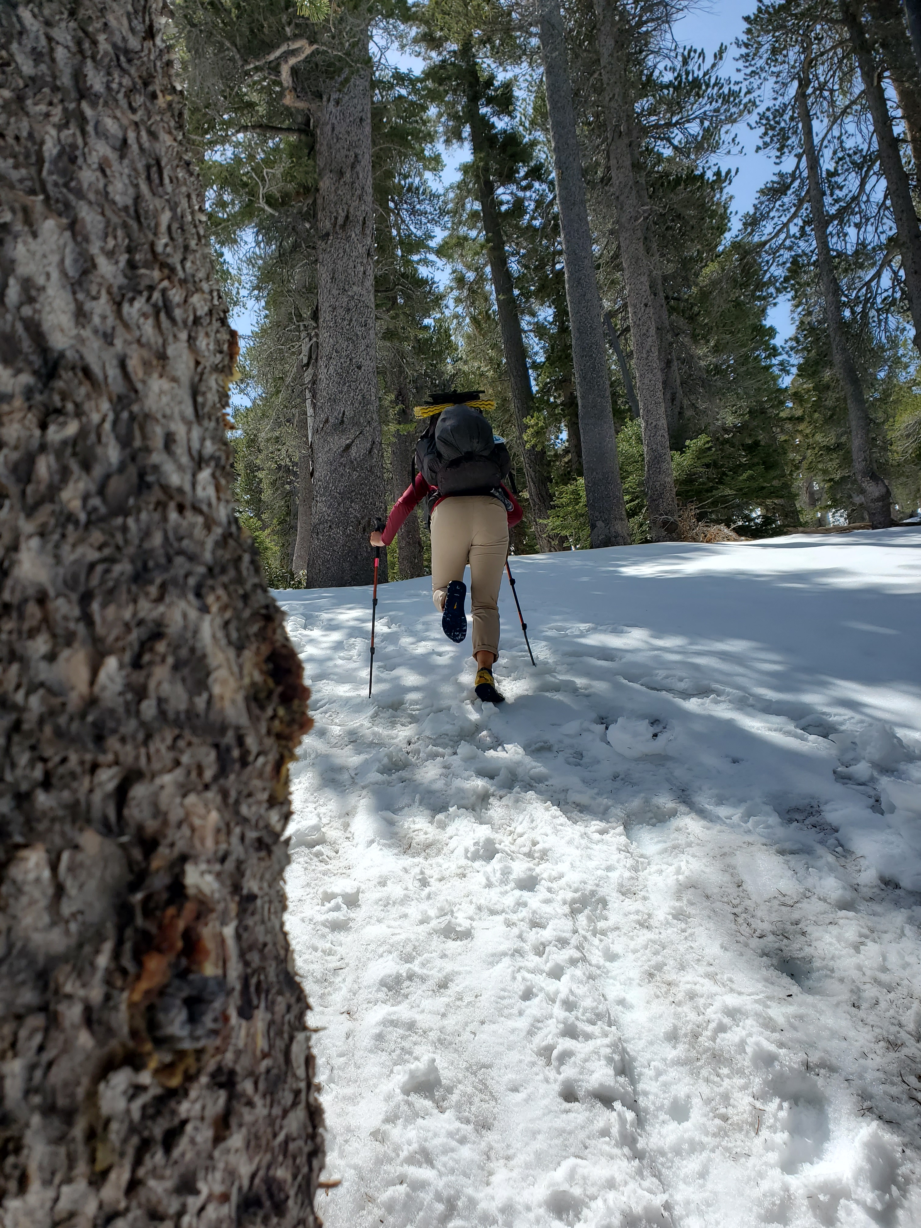 Alpine Whiplash – Cajon to Acton