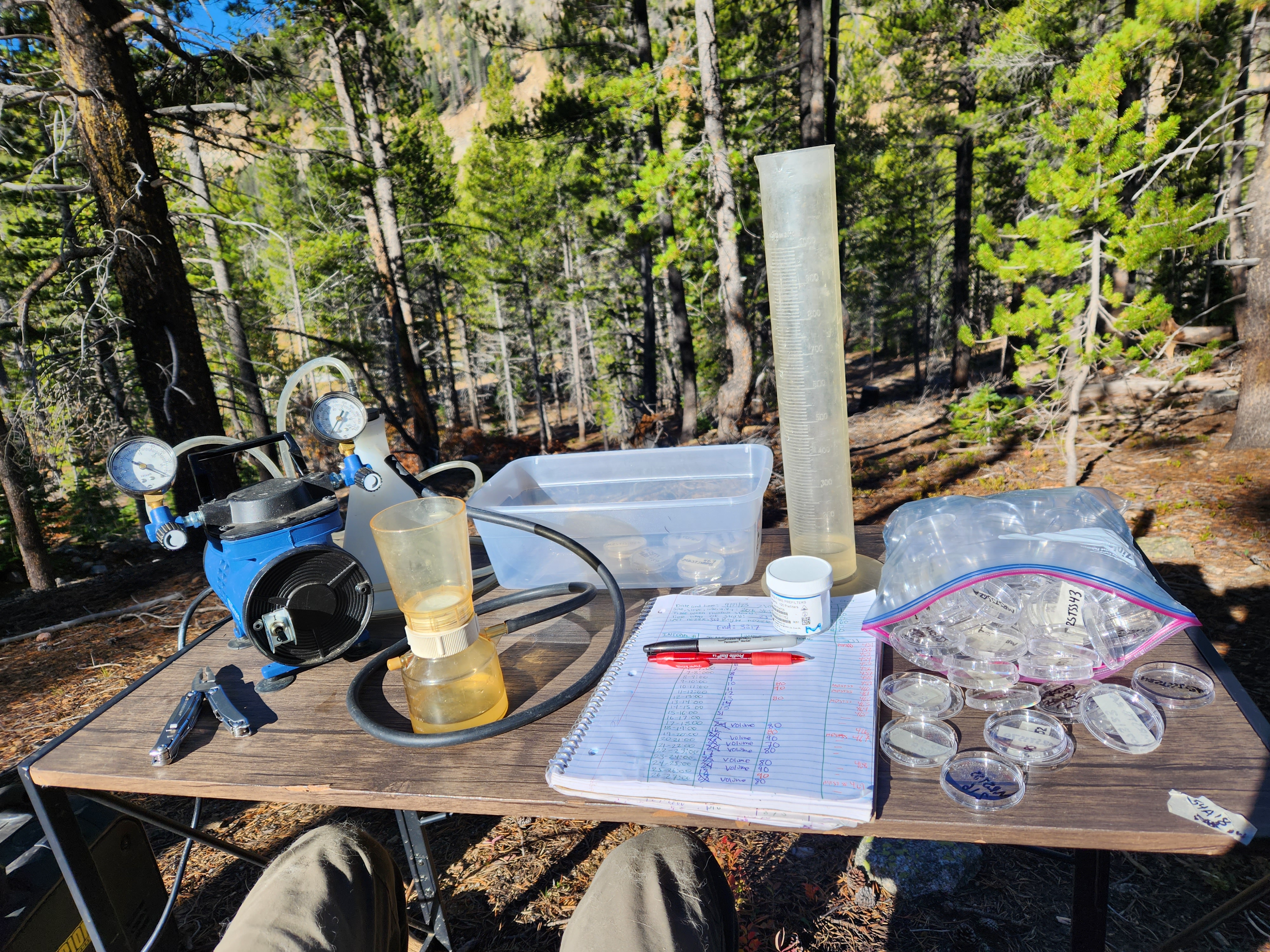 Russell Gets a Job… Briefly